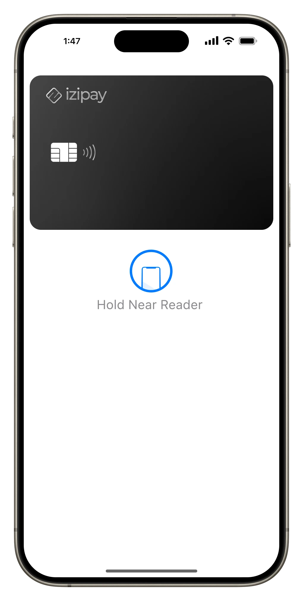 Apple Pay Screen Preview